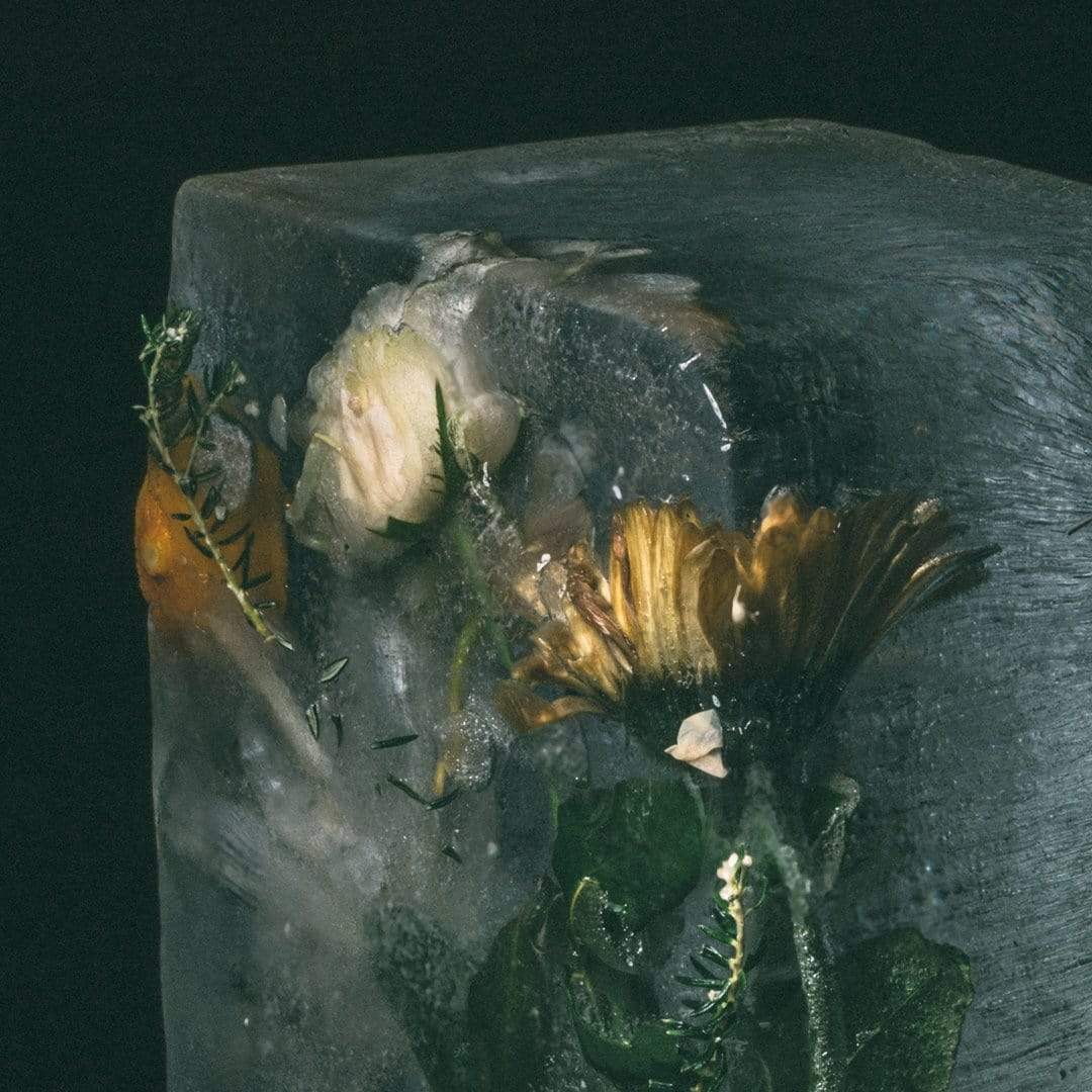 Ice Flower VI Photographic Print by Maegan McDowell