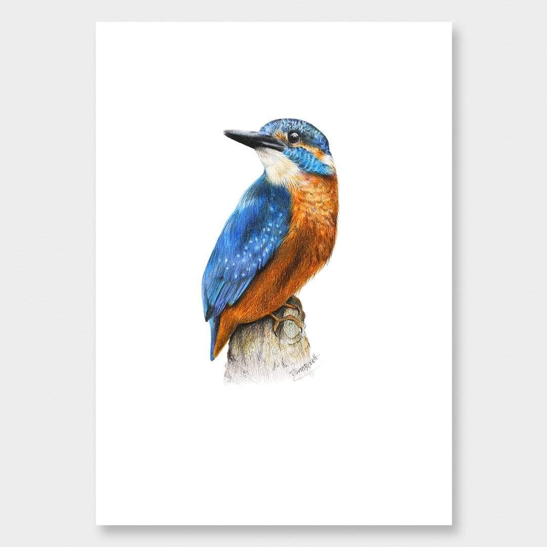 Kingfisher Art Print by Olivia Bezett