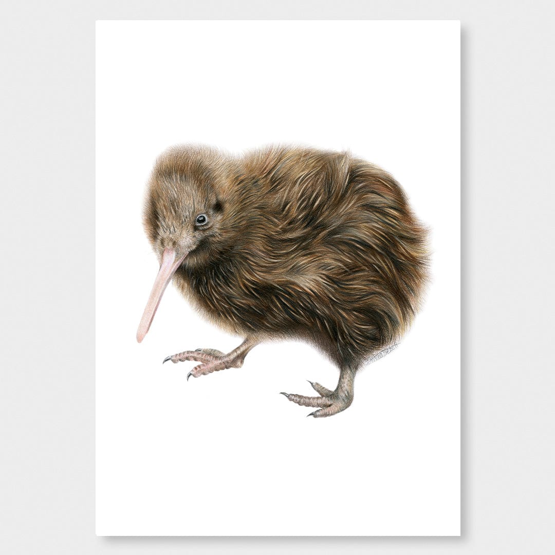 Kiwi Art Print by Olivia Bezett