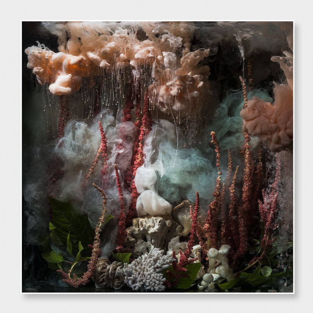 Love Lies & Coral Photographic Print by Georgie Malyon