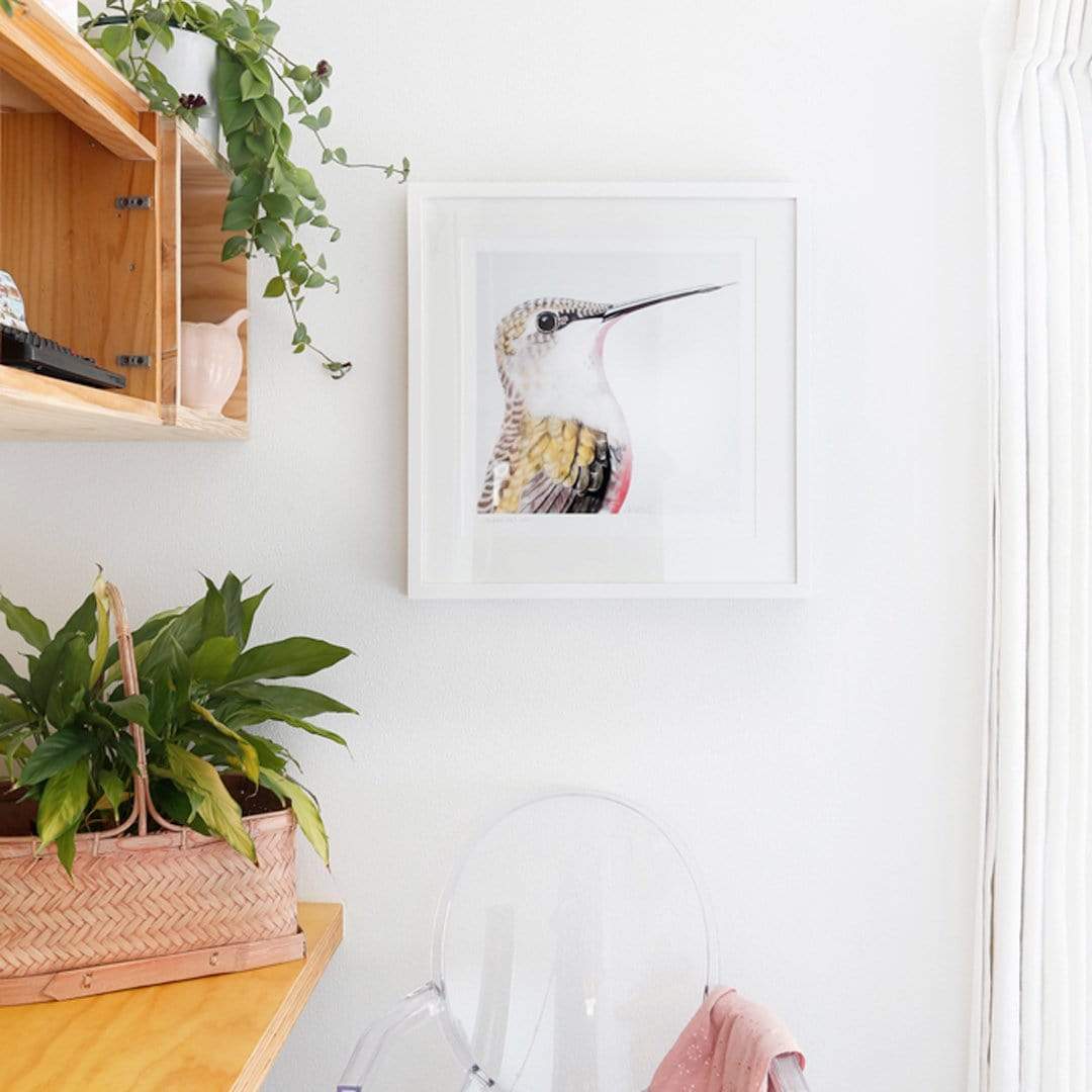 Ava Hummingbird Art Print by Margaret Petchell