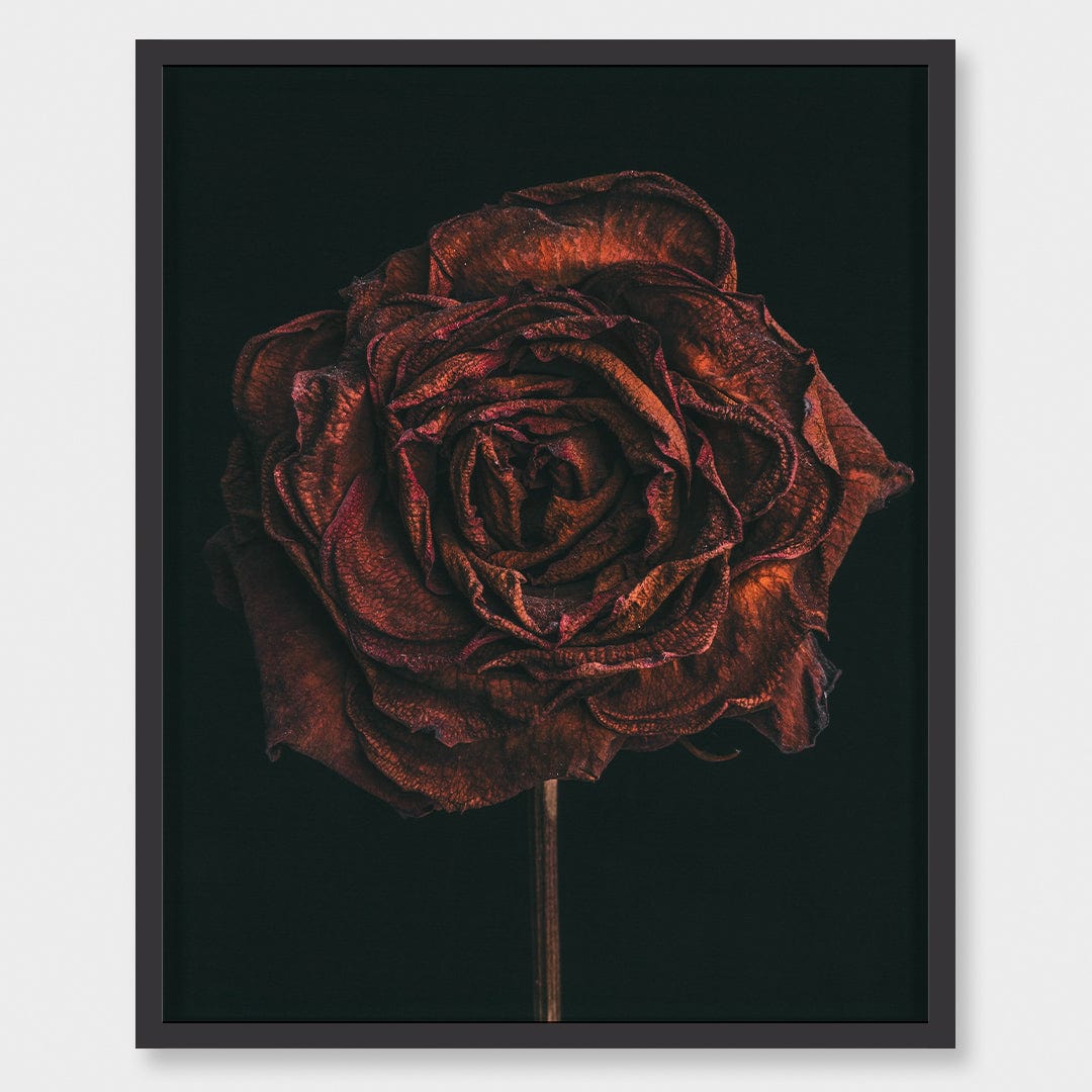No. 1 Photographic Print by Maegan McDowell