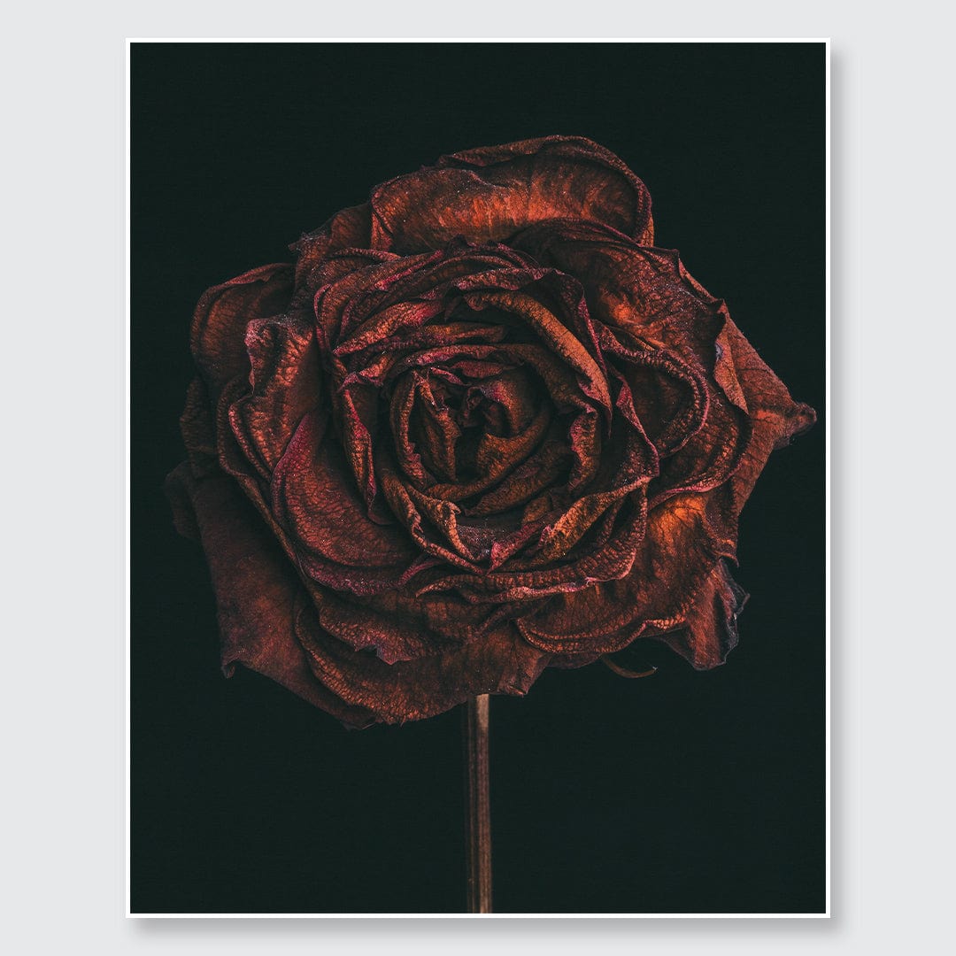 No. 1 Photographic Print by Maegan McDowell