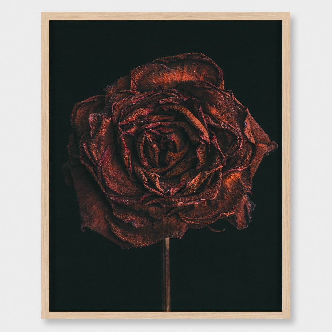No. 1 Photographic Print by Maegan McDowell