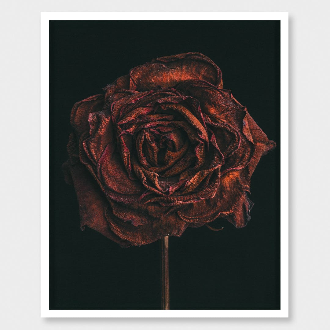No. 1 Photographic Print by Maegan McDowell