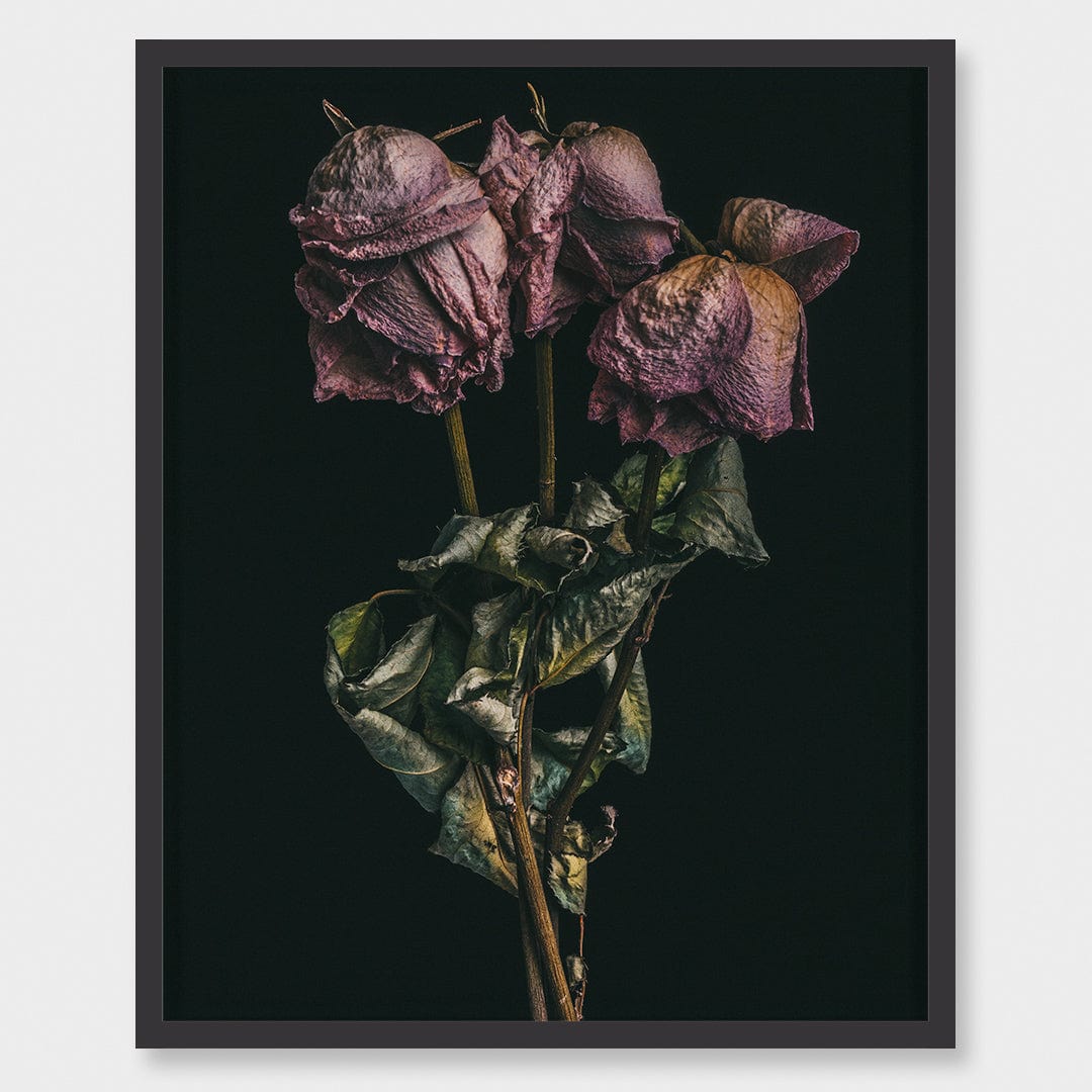 No. 10 Photographic Print by Maegan McDowell