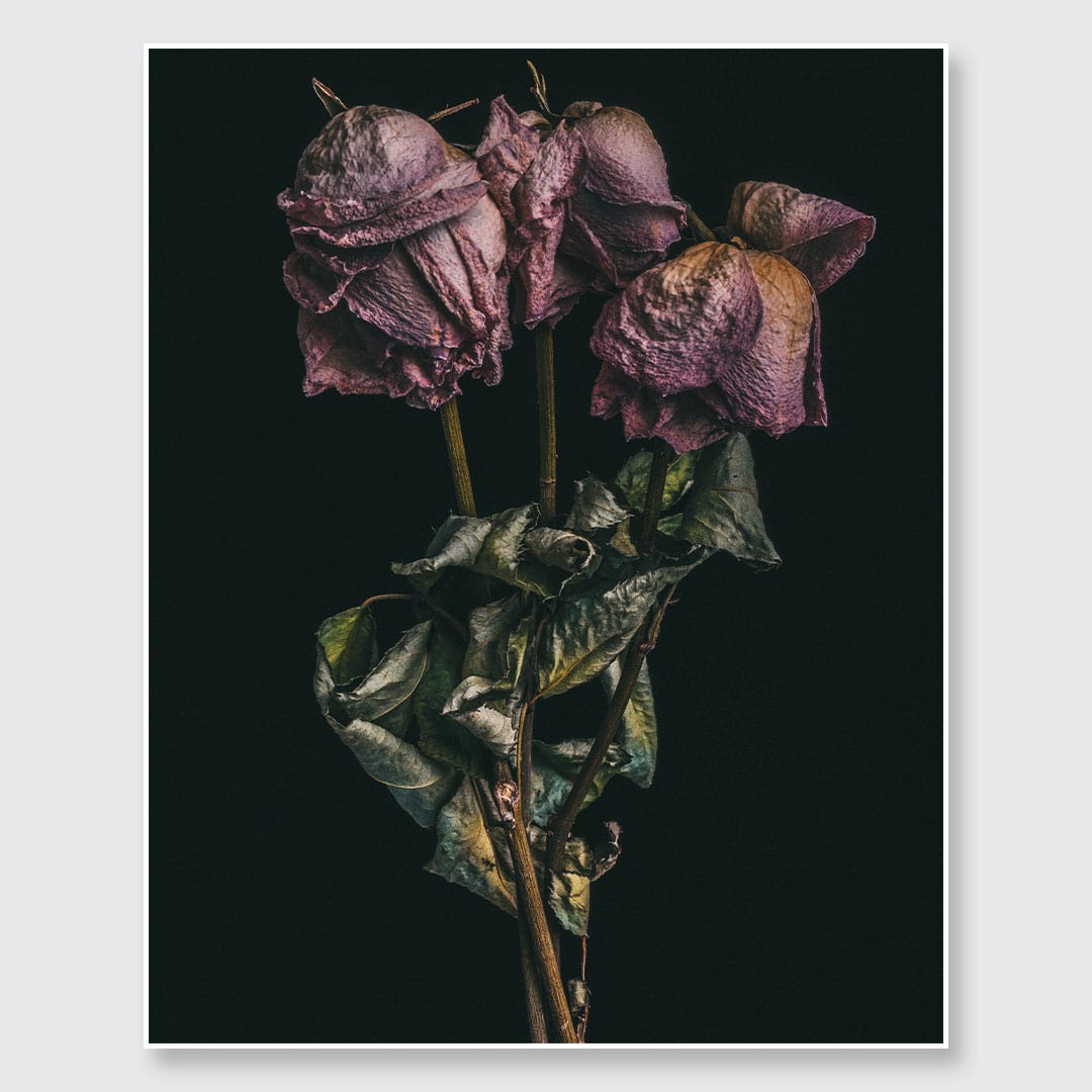 No. 10 Photographic Print by Maegan McDowell