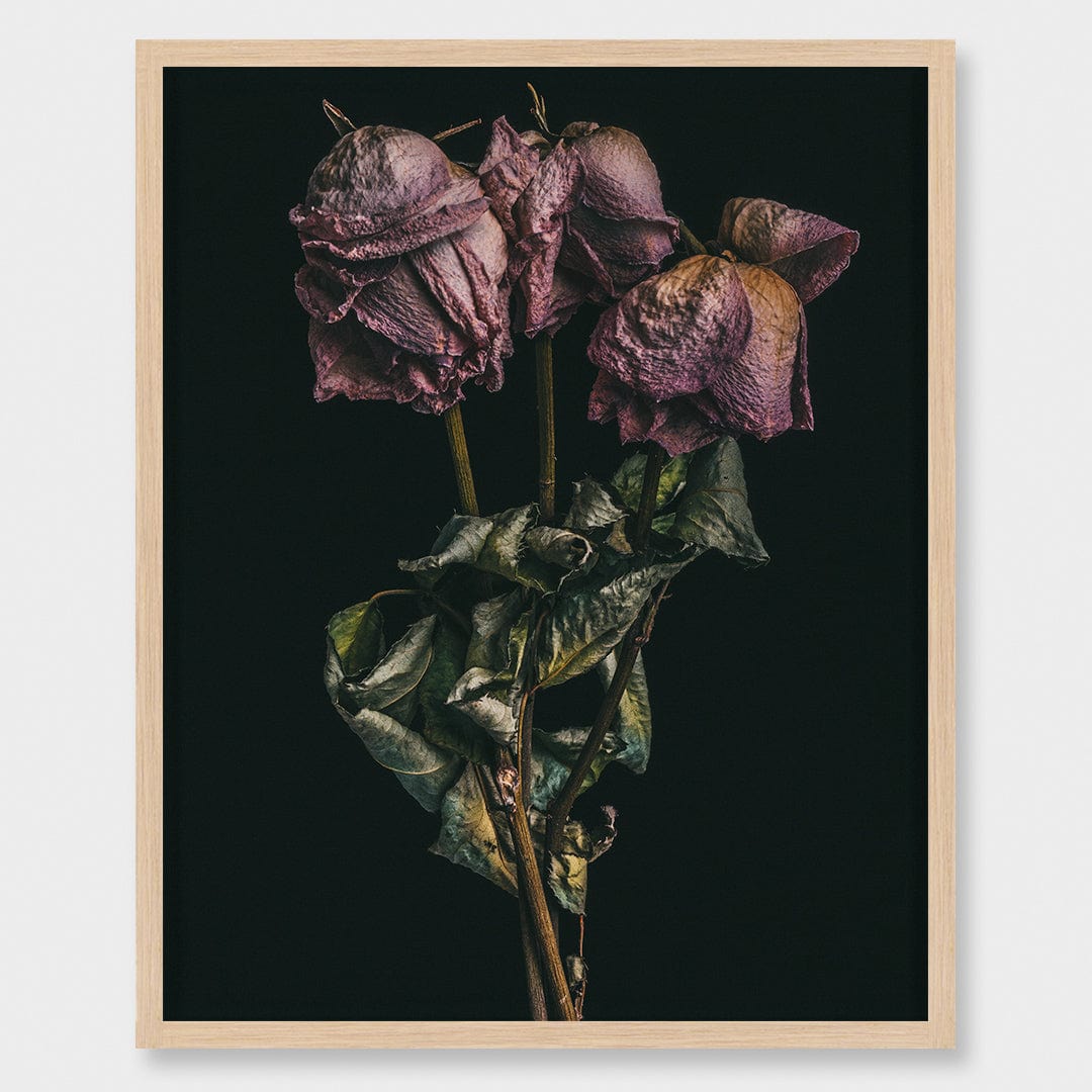 No. 10 Photographic Print by Maegan McDowell