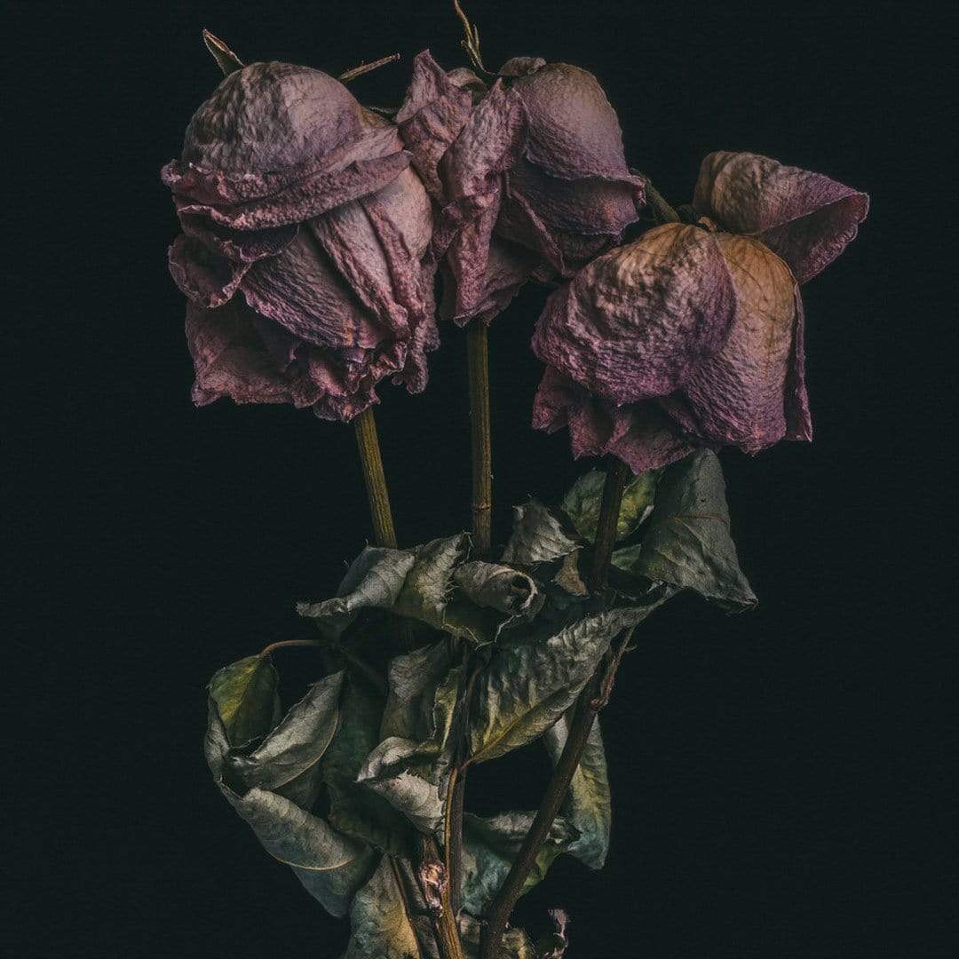 No. 10 Photographic Print by Maegan McDowell
