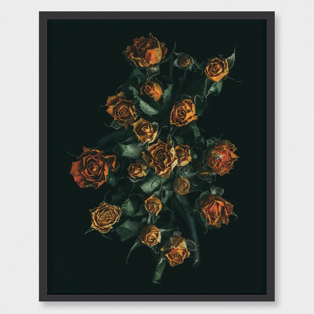 No. 11 Photographic Print by Maegan McDowell