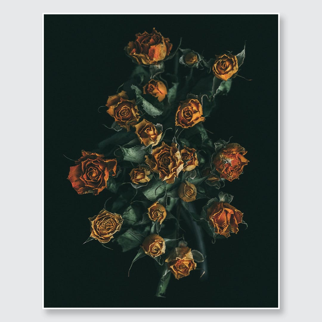 No. 11 Photographic Print by Maegan McDowell