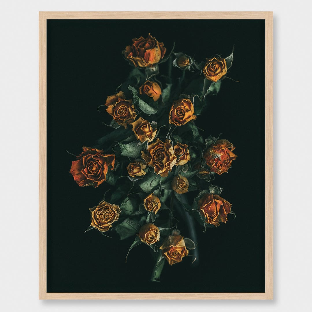 No. 11 Photographic Print by Maegan McDowell