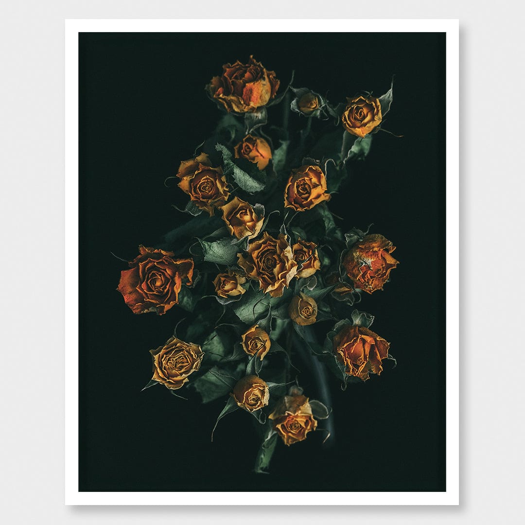 No. 11 Photographic Print by Maegan McDowell