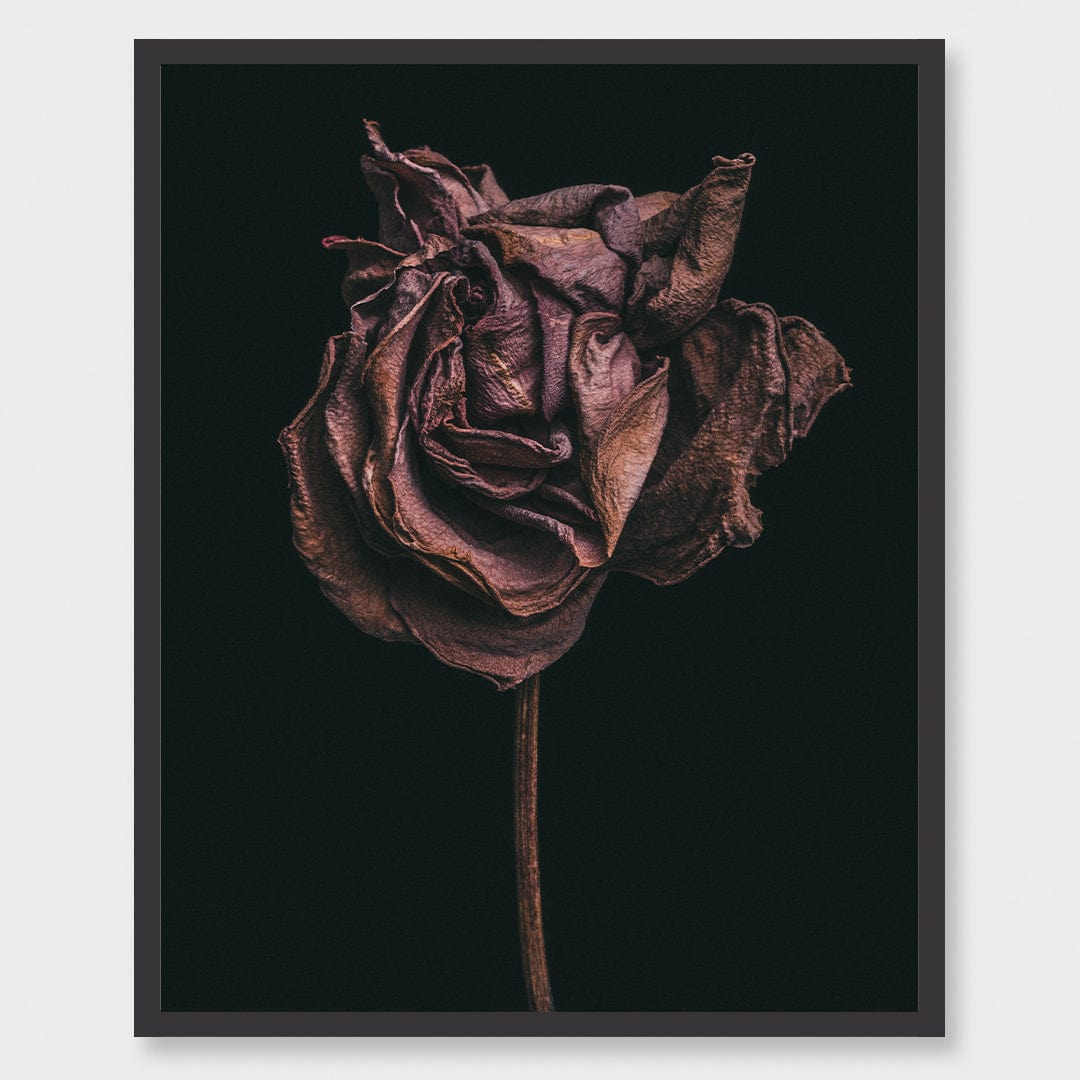 No. 2 Photographic Print by Maegan McDowell