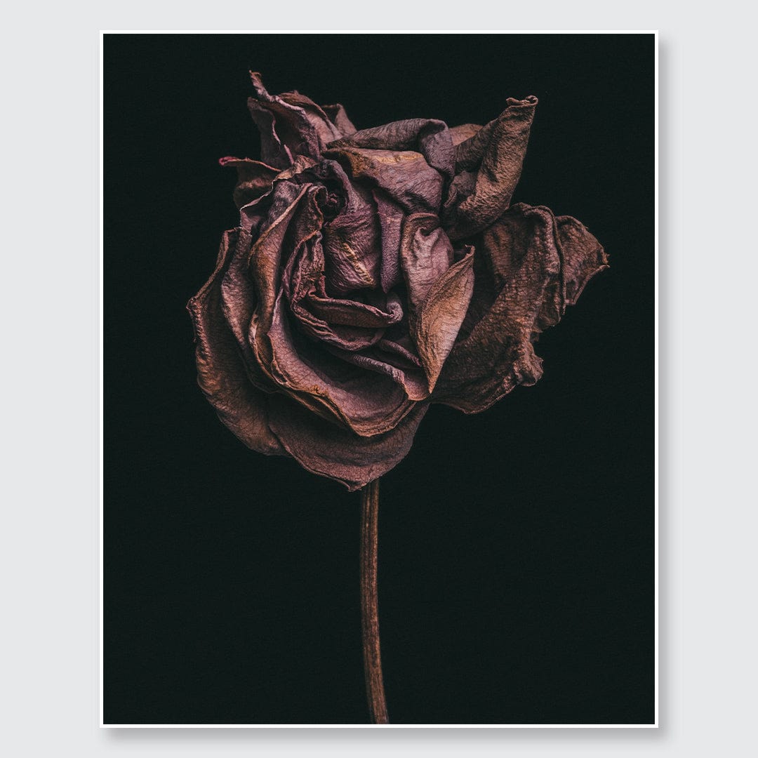 No. 2 Photographic Print by Maegan McDowell