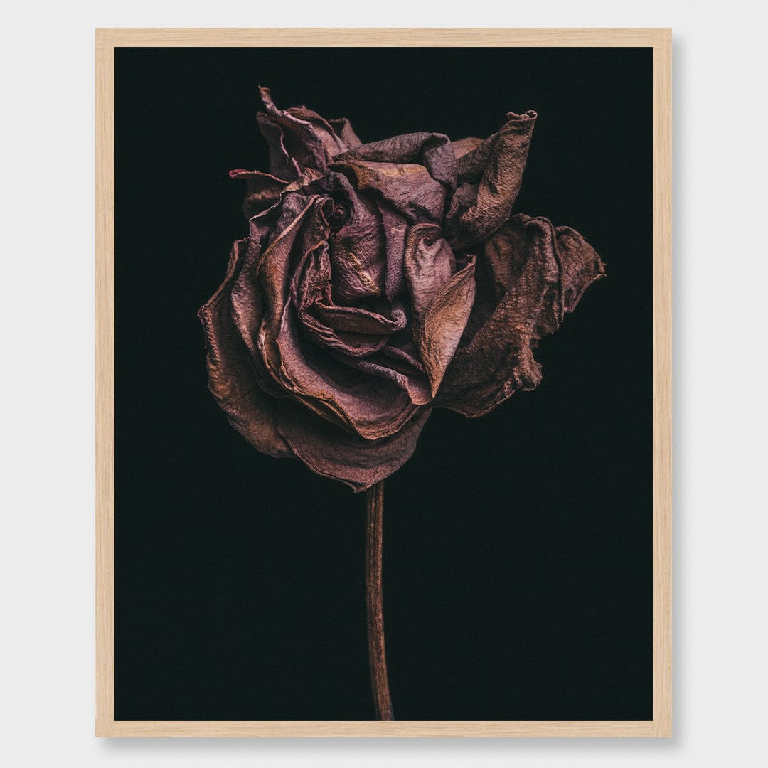 No. 2 Photographic Print by Maegan McDowell