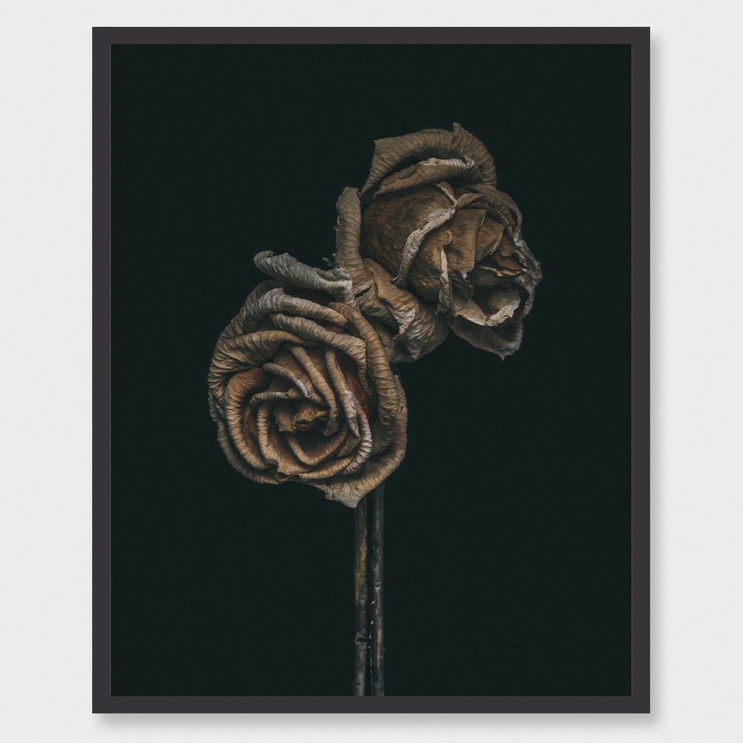 No. 3 Photographic Print by Maegan McDowell