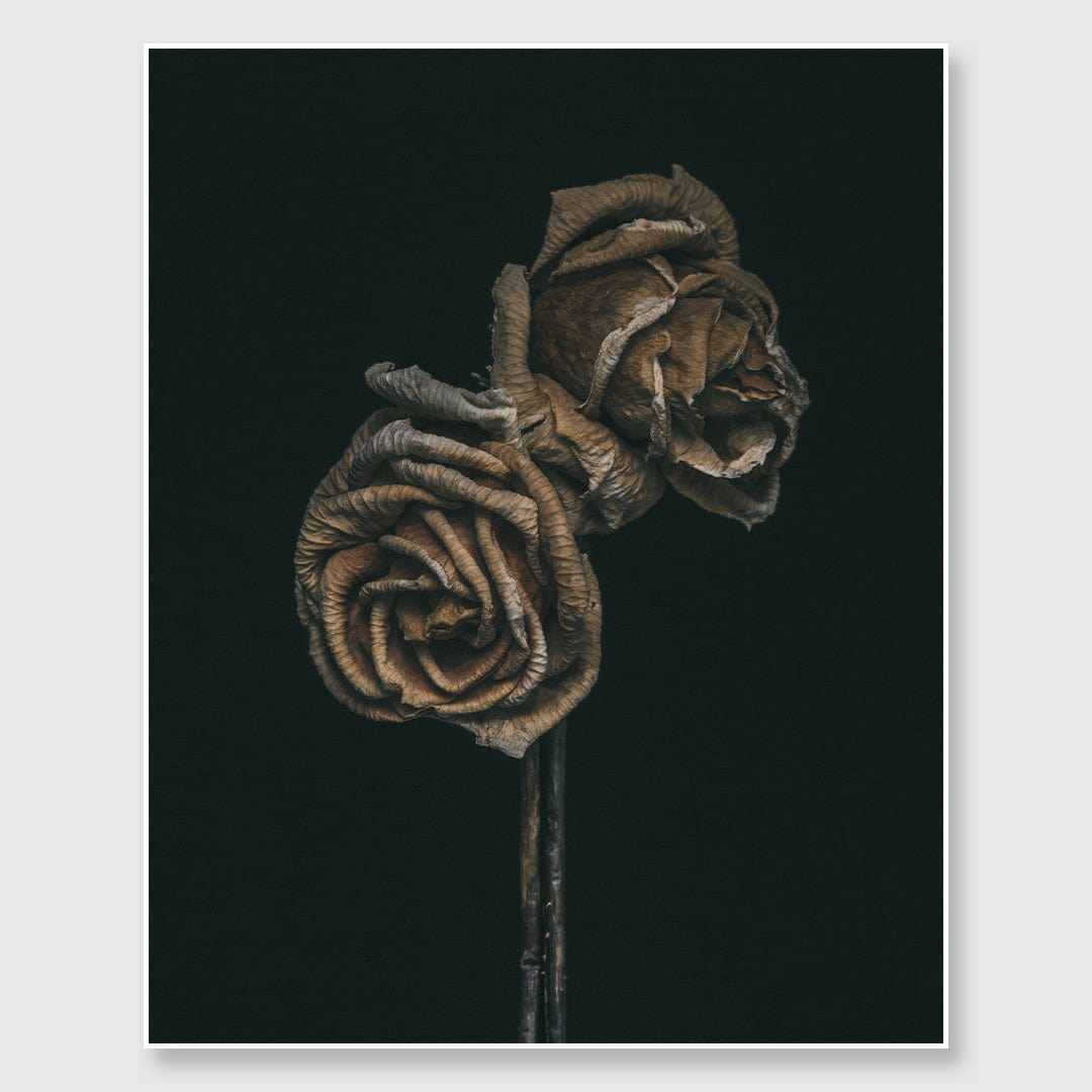 No. 3 Photographic Print by Maegan McDowell