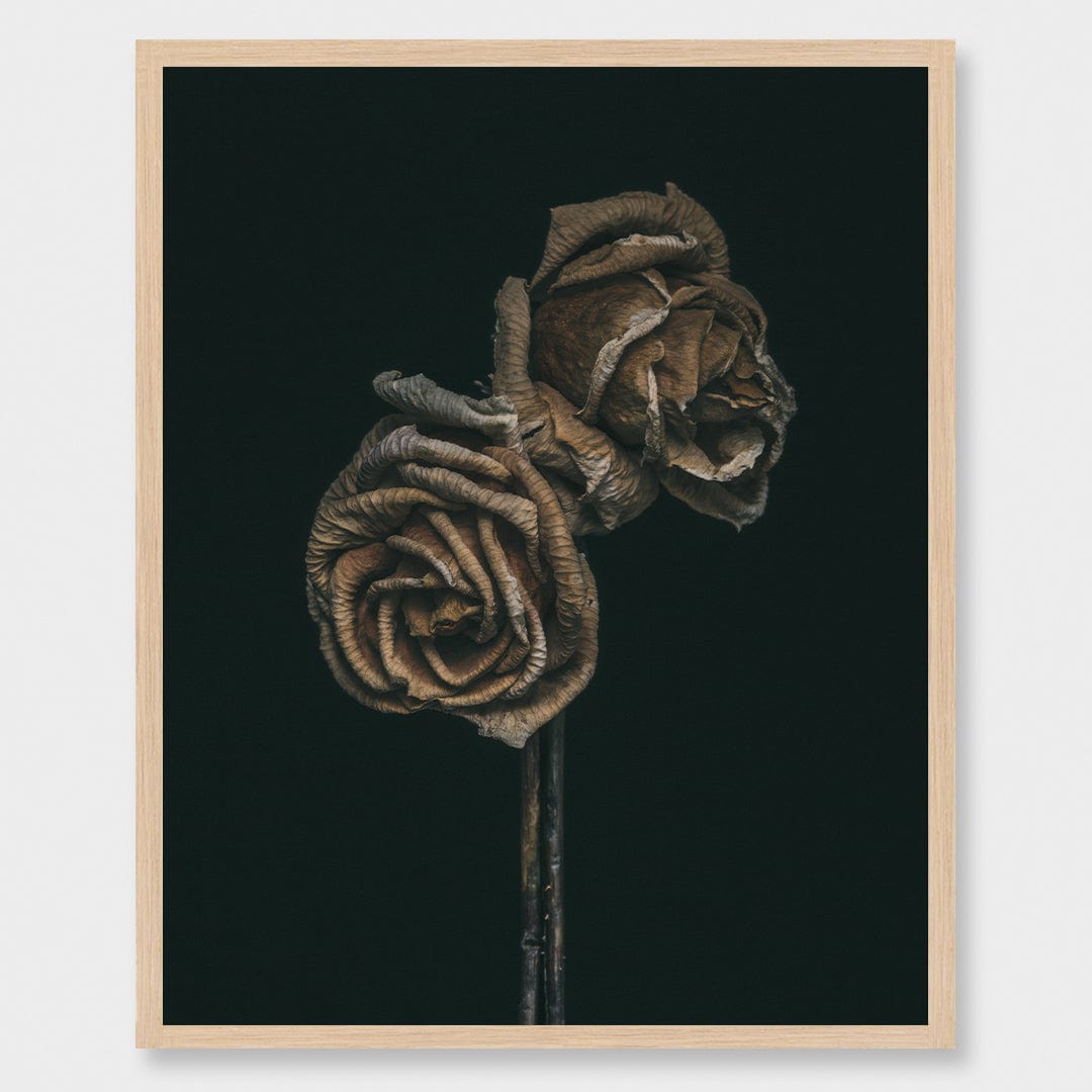 No. 3 Photographic Print by Maegan McDowell