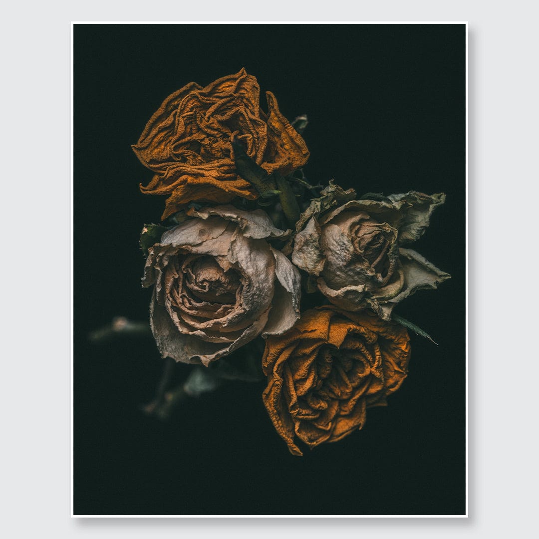 No. 6 Photographic Print by Maegan McDowell