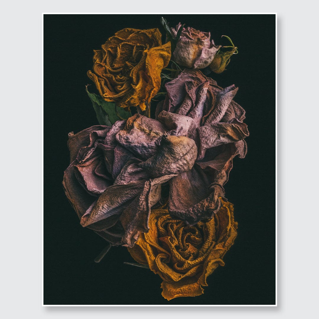 No. 7 Photographic Print by Maegan McDowell