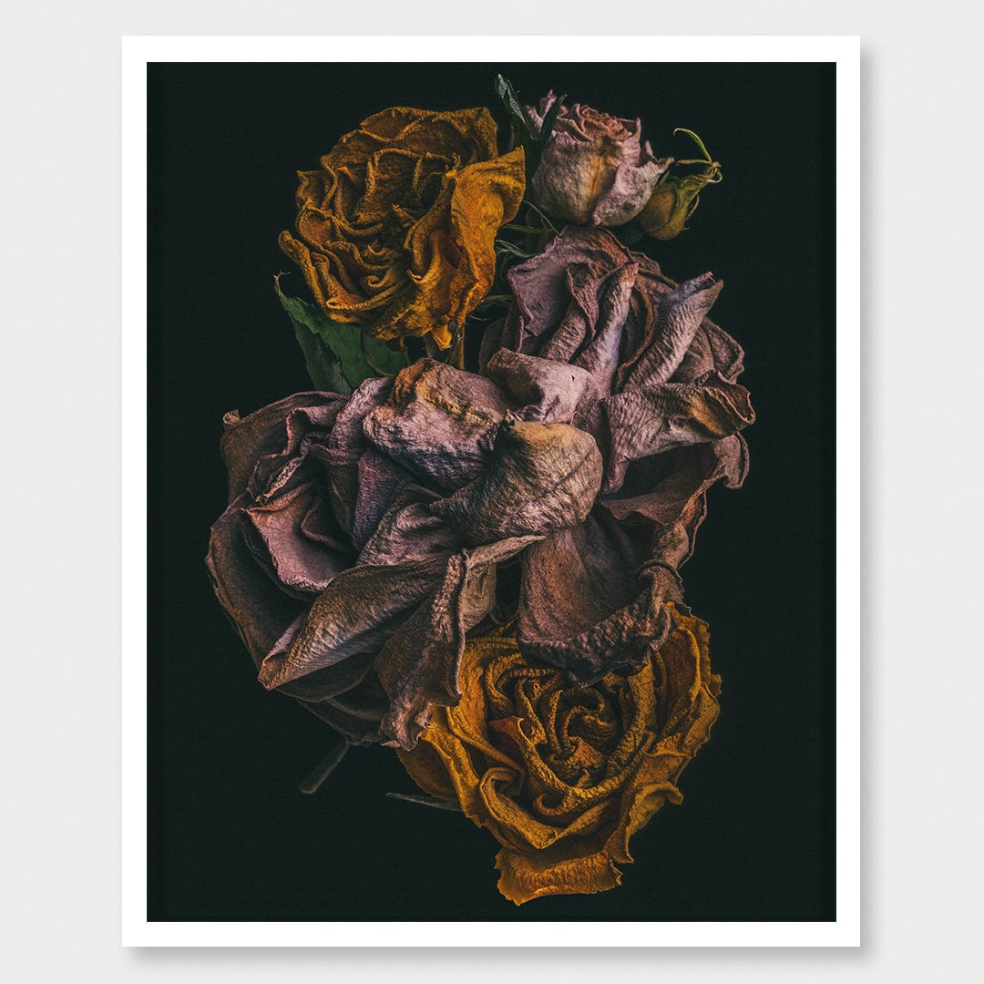 No. 7 Photographic Print by Maegan McDowell