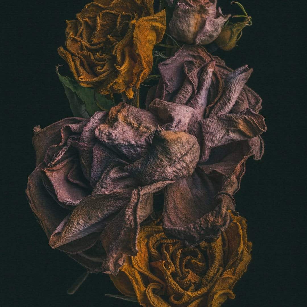 No. 7 Photographic Print by Maegan McDowell