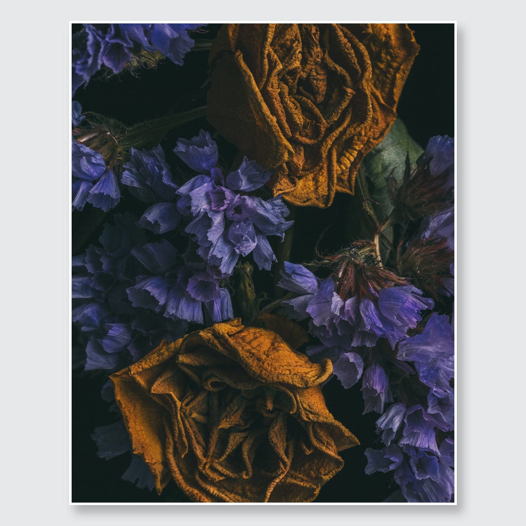 No. 8 Photographic Print by Maegan McDowell