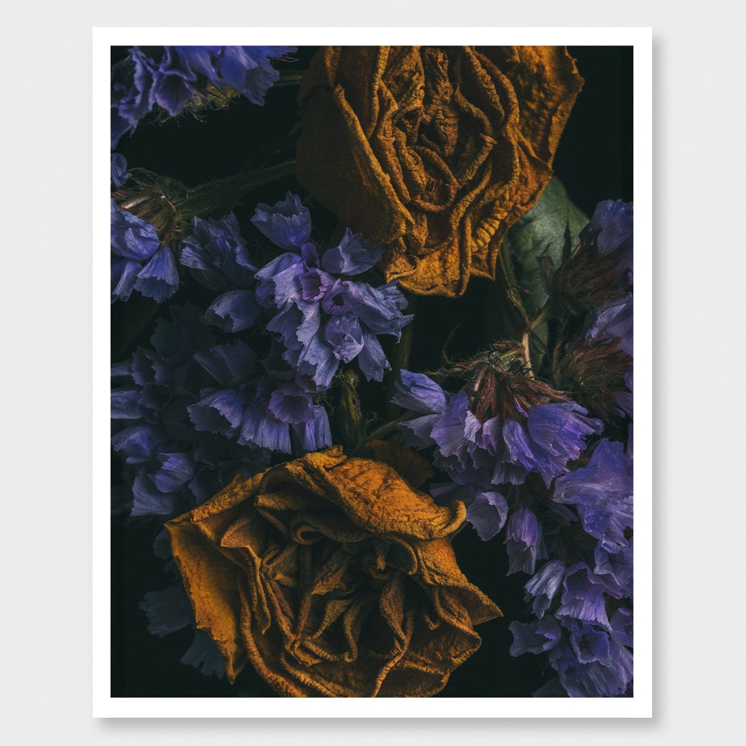 No. 8 Photographic Print by Maegan McDowell