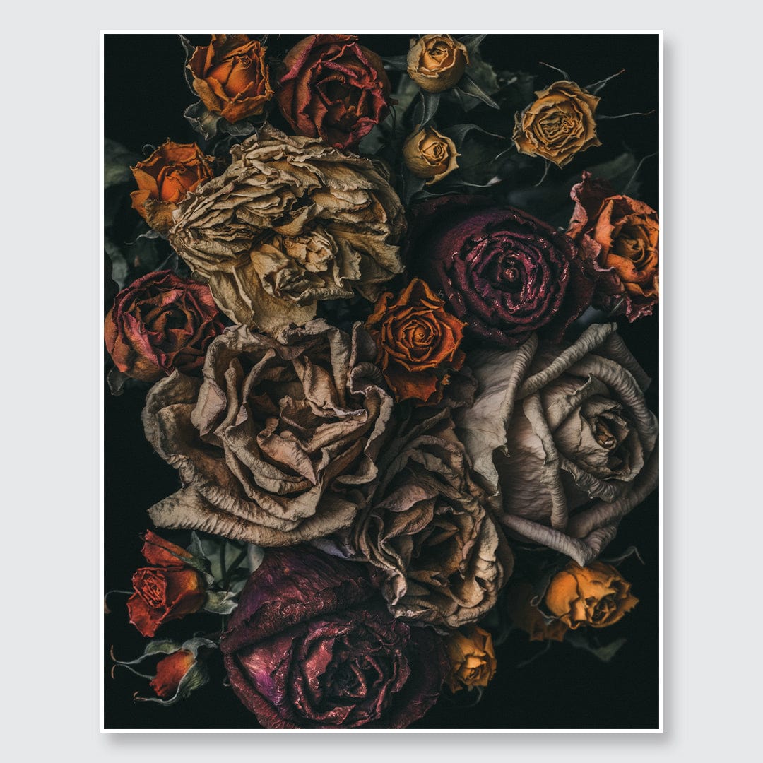 No. 9 Photographic Print by Maegan McDowell