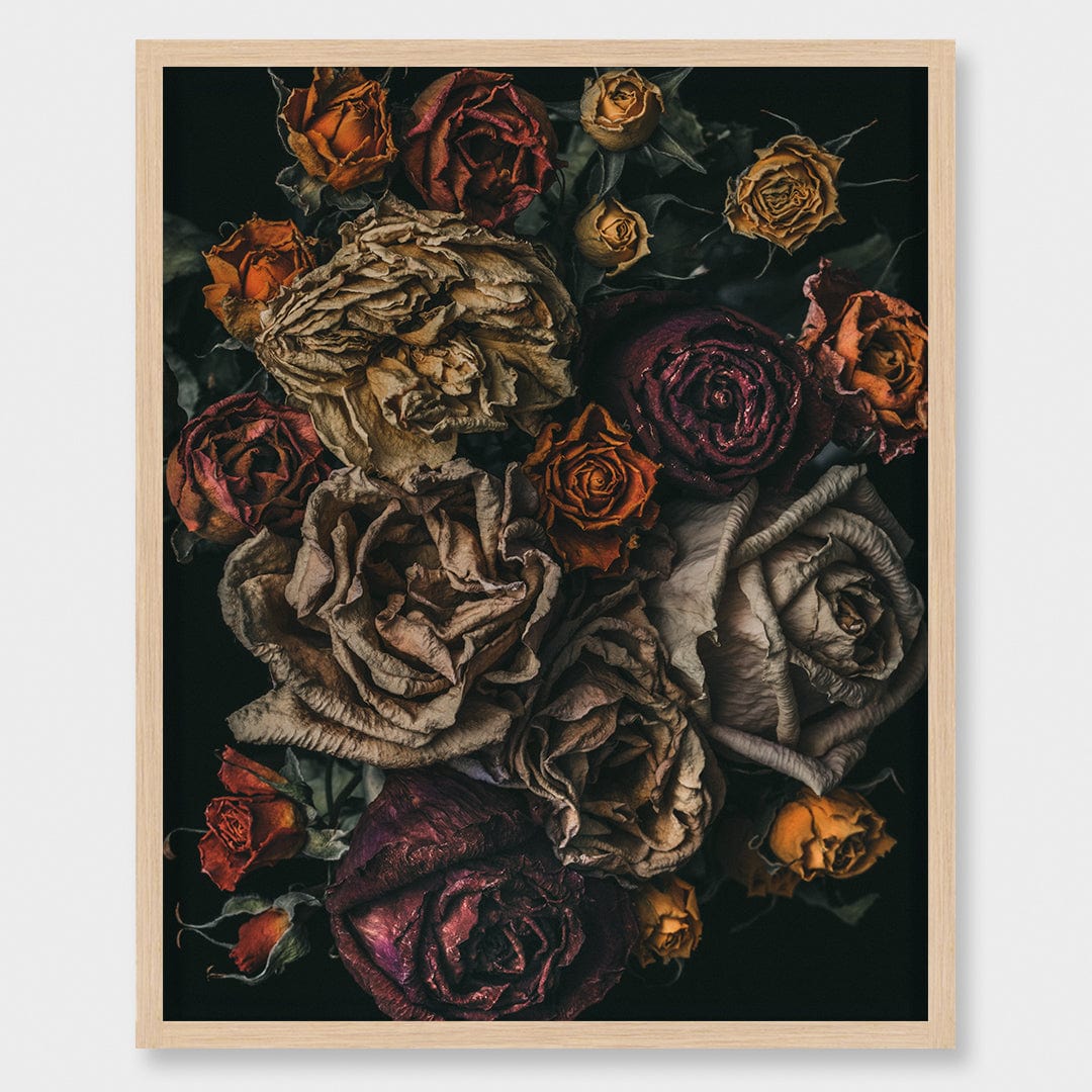 No. 9 Photographic Print by Maegan McDowell