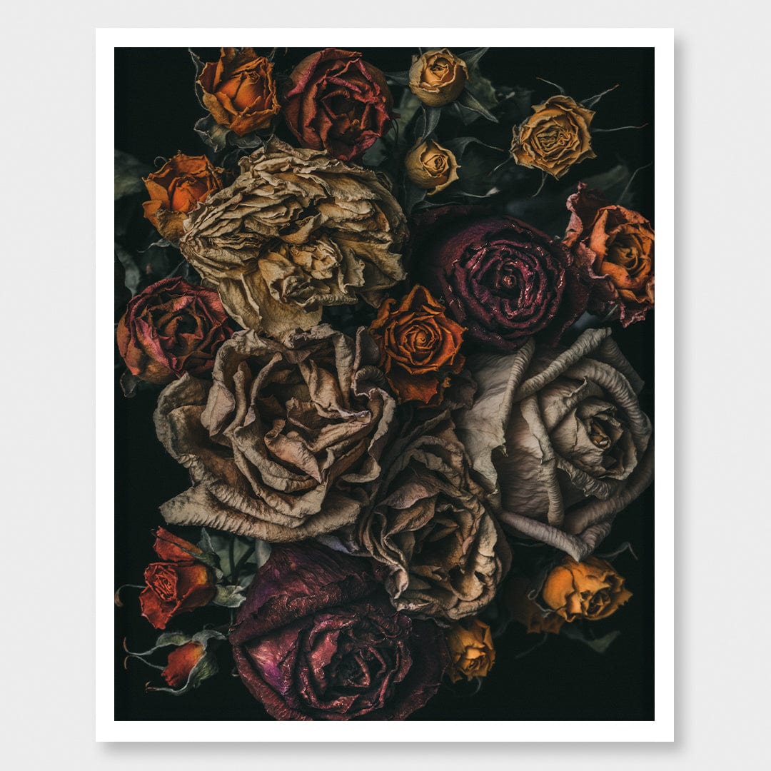 No. 9 Photographic Print by Maegan McDowell
