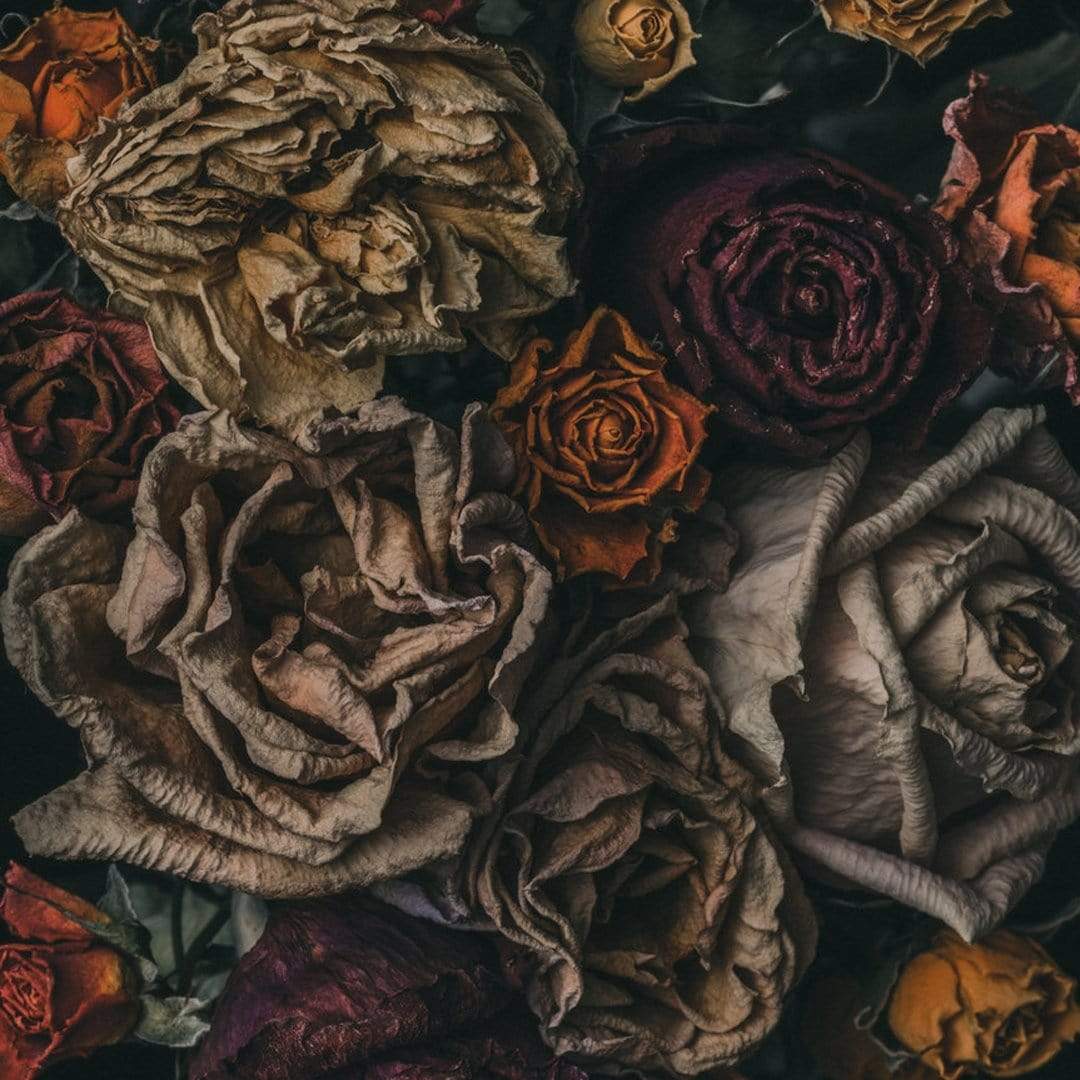No. 9 Photographic Print by Maegan McDowell