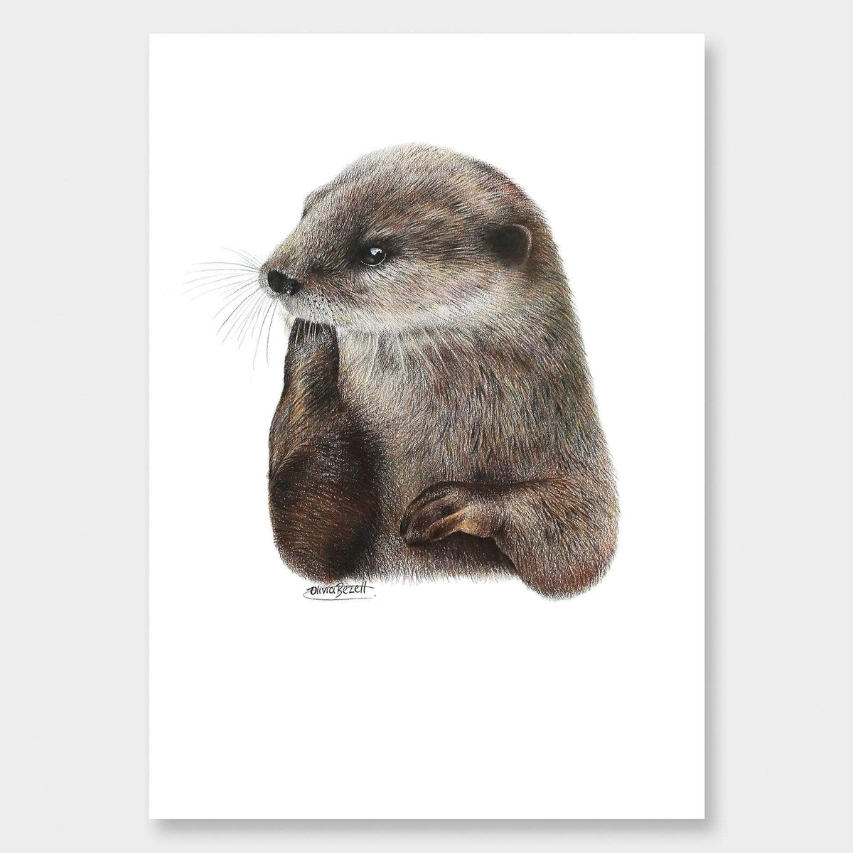 Otter Art Print by Olivia Bezett