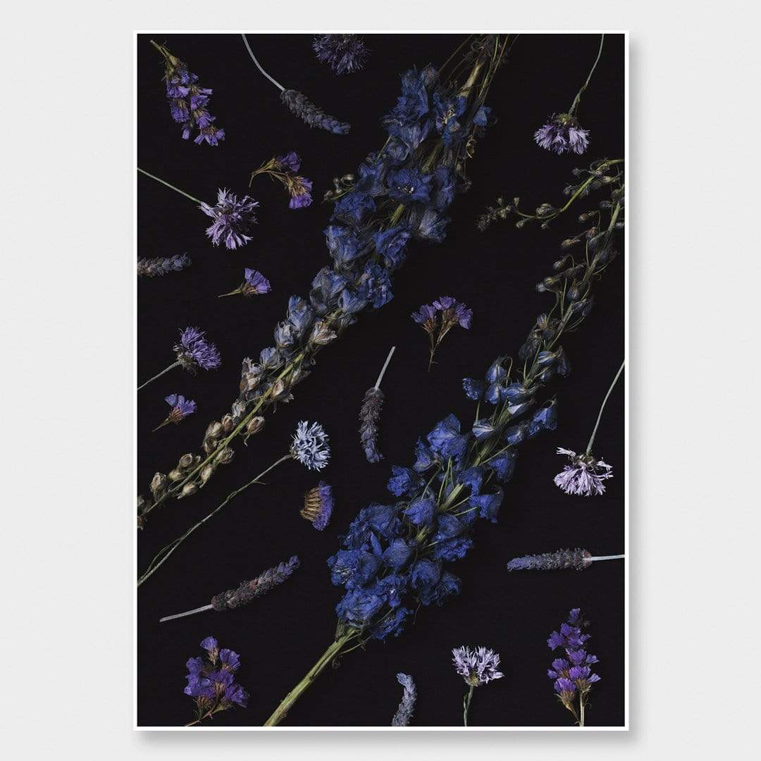 Poseidon Photographic Print by Maegan McDowell