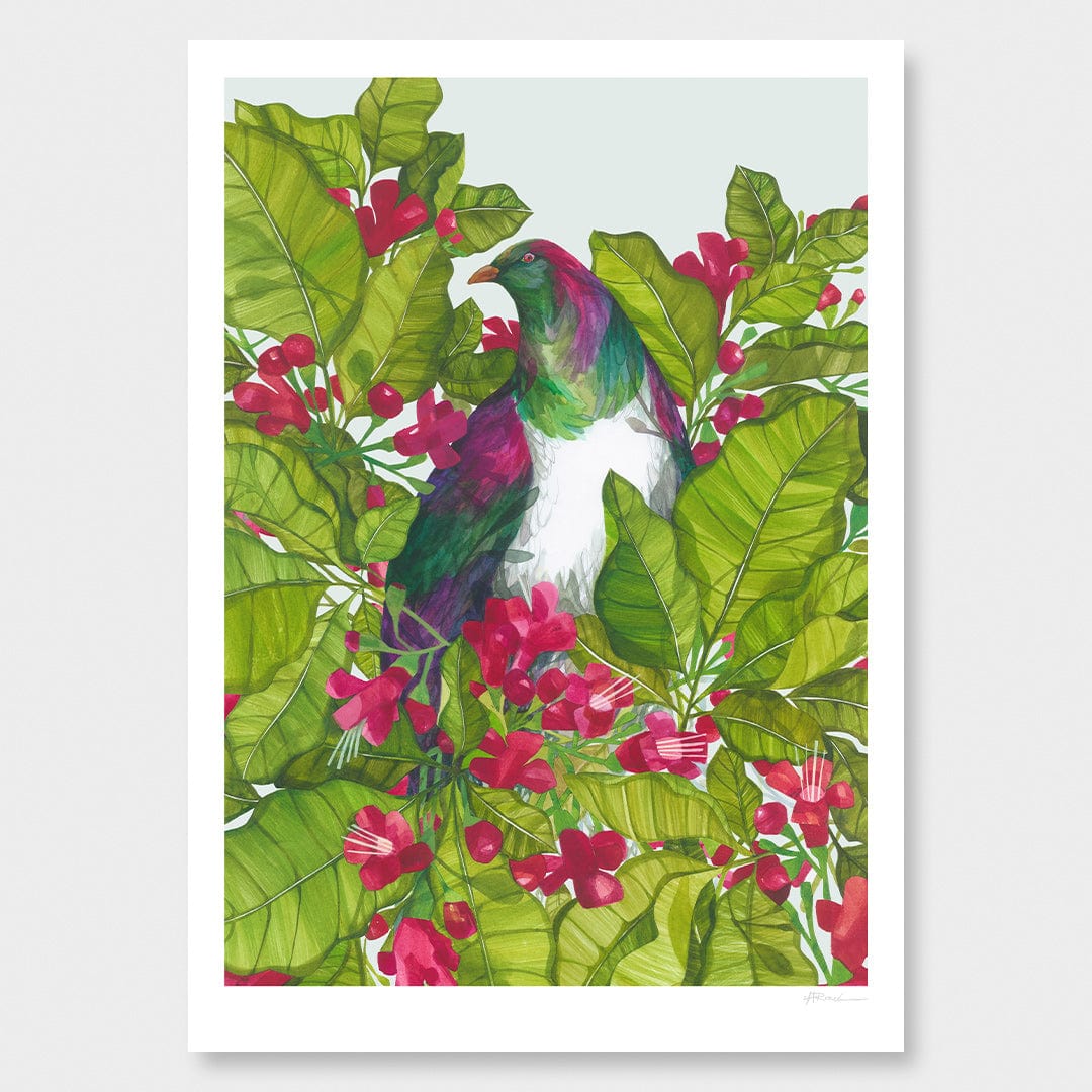 Puriri and Kereru Art Print by Holly Roach