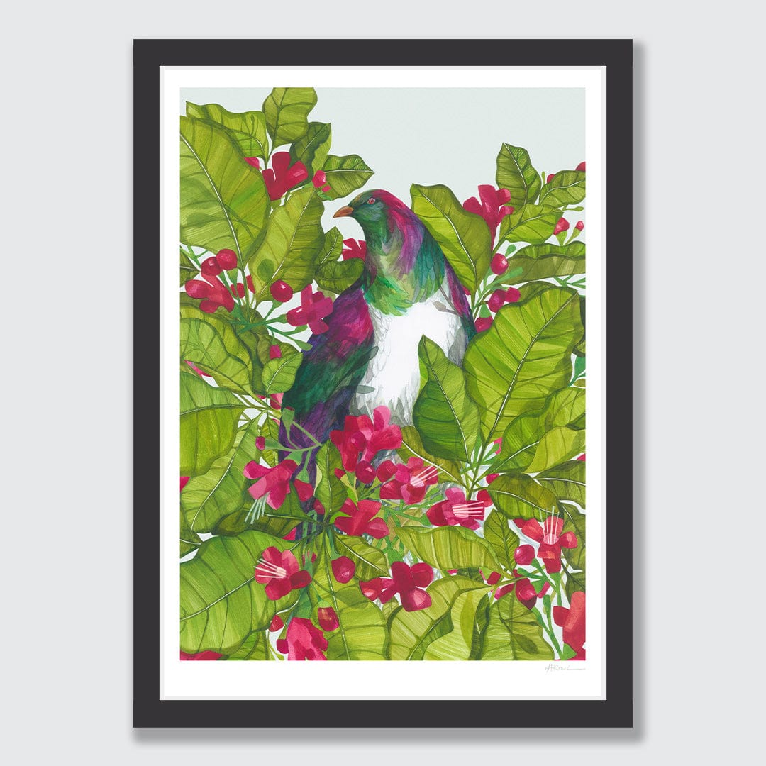 Puriri and Kereru Art Print by Holly Roach
