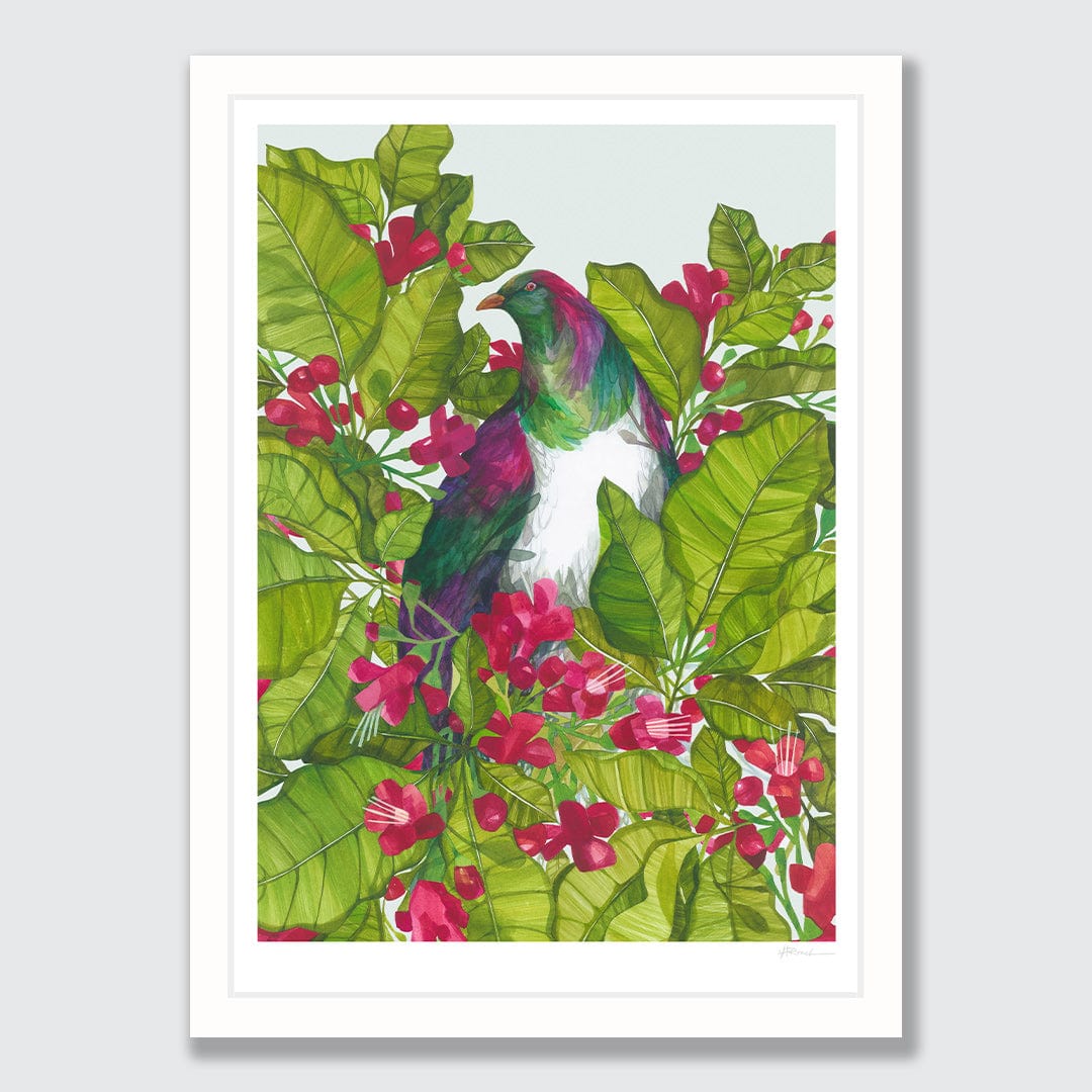 Puriri and Kereru Art Print by Holly Roach