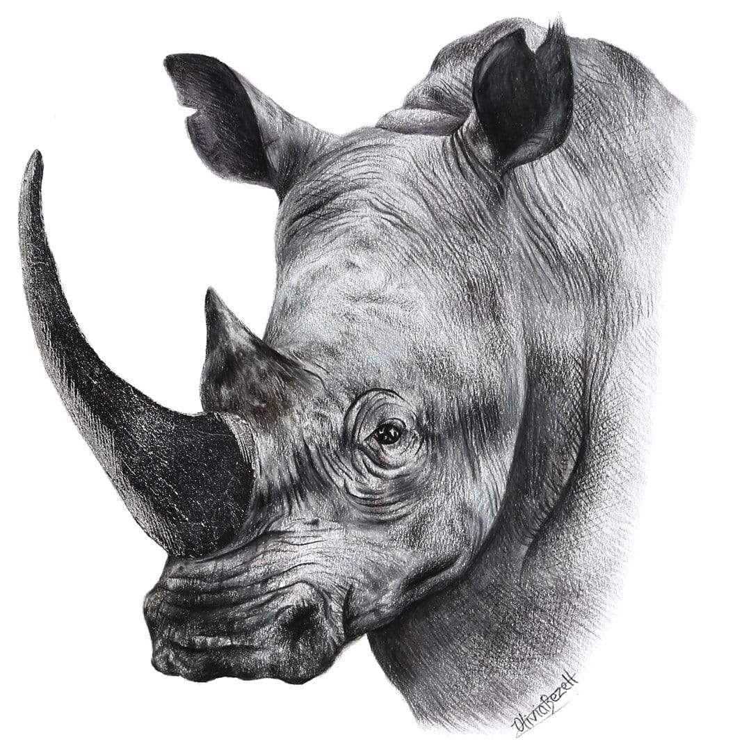 Rhino Art Print by Olivia Bezett