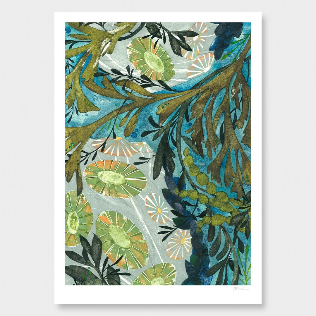 Rockpool Art Print by Holly Roach