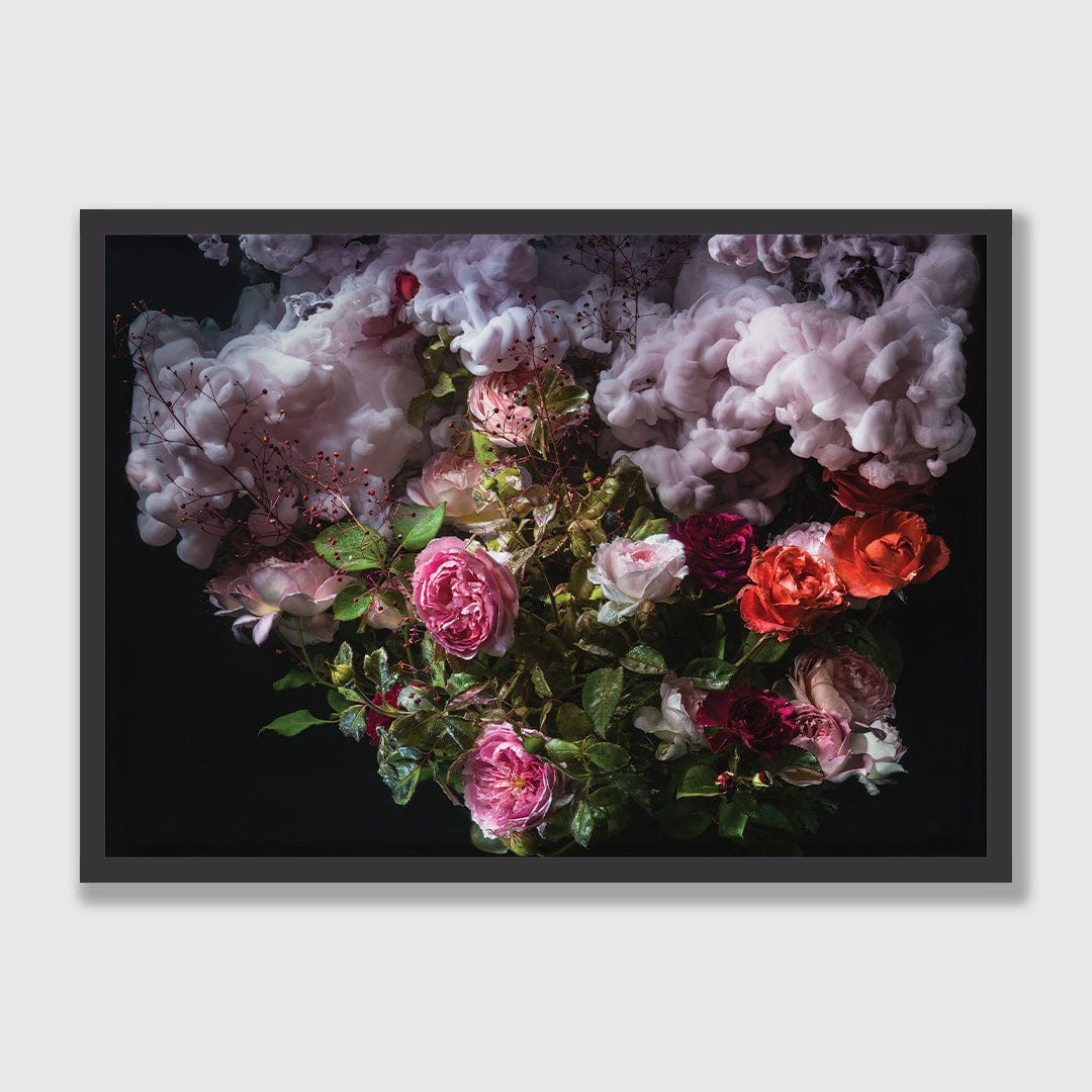 Rose Plume Photographic Print by Georgie Malyon