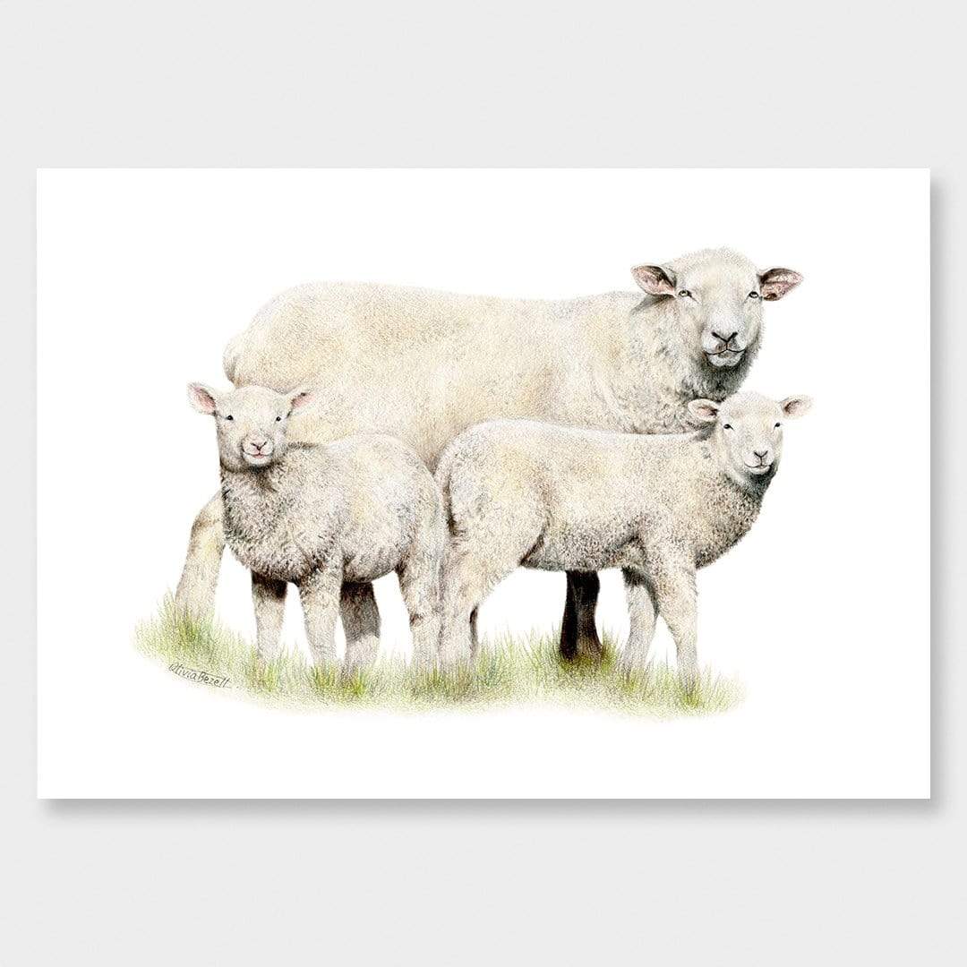 Sheep Family Art Print by Olivia Bezett