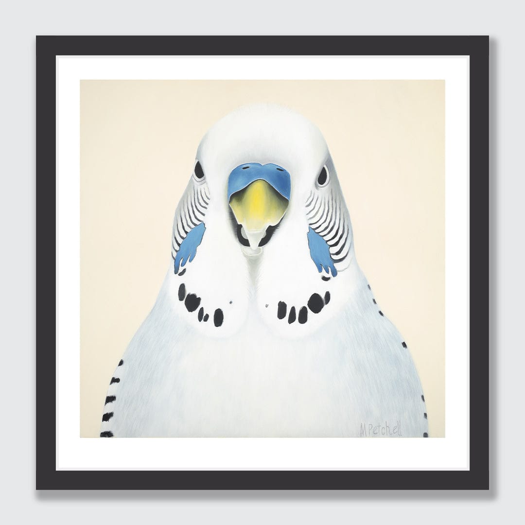 Sid Budgie Art Print by Margaret Petchell