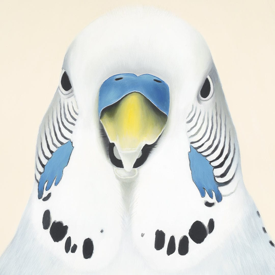 Sid Budgie Art Print by Margaret Petchell