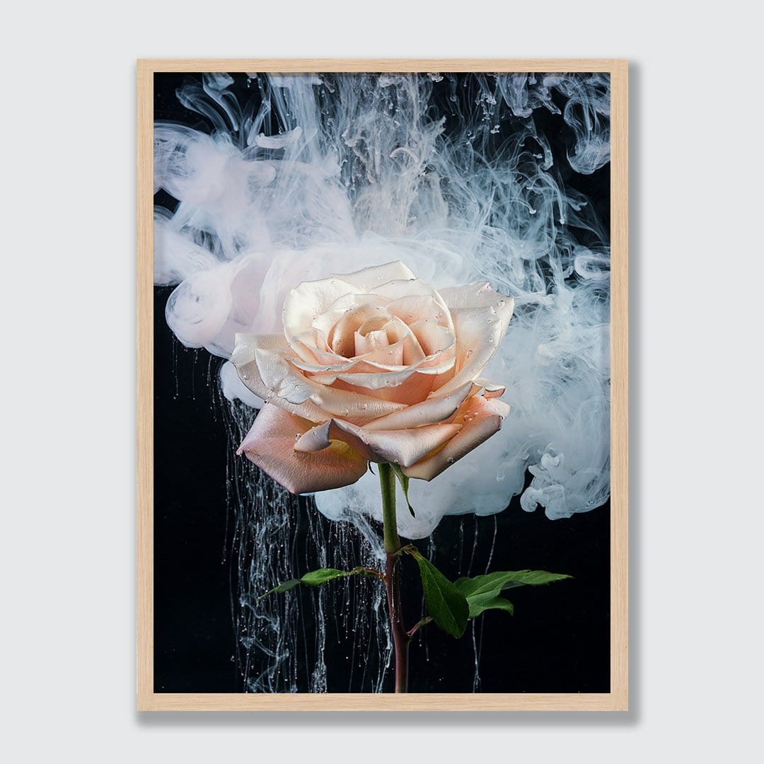 Single Rose Photographic Print by Georgie Malyon