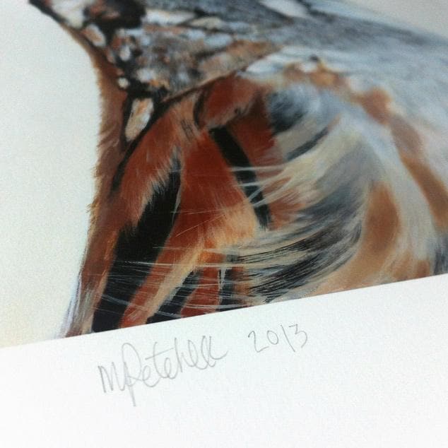 Bijou Sparrow Art Print by Margaret Petchell