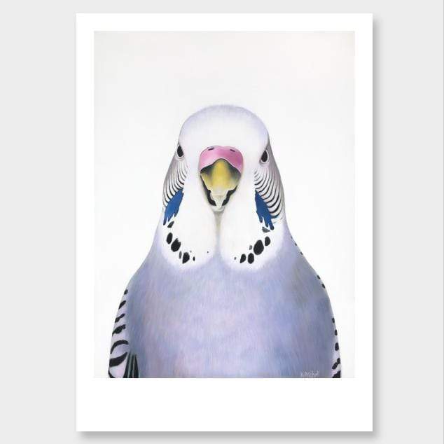 Sylvia Budgie Art Print by Margaret Petchell