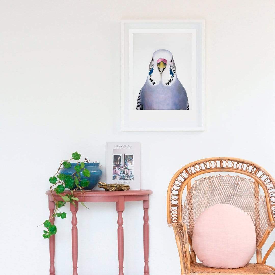 Sylvia Budgie Art Print by Margaret Petchell
