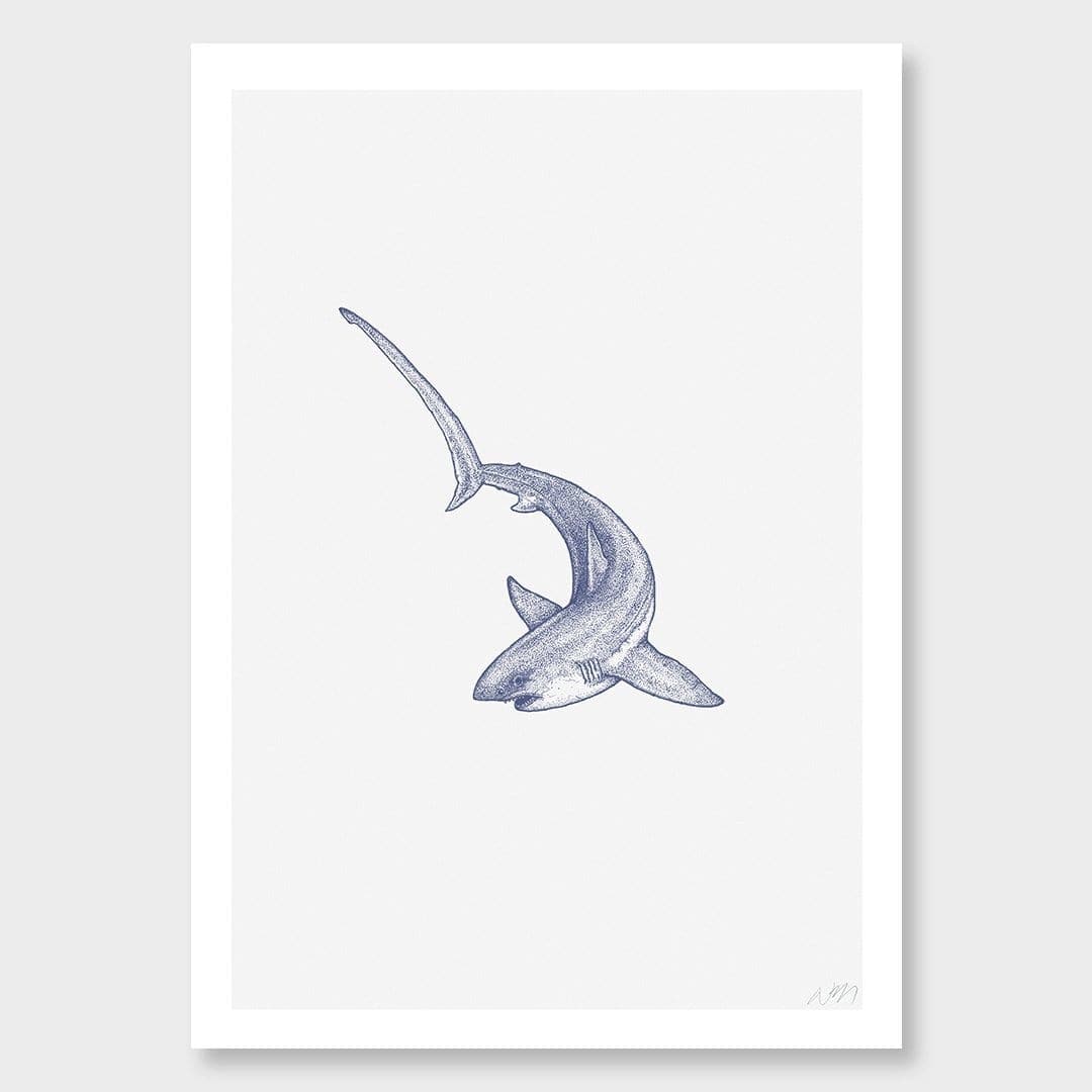 Threasher Shark Art Print by Nathan Miller