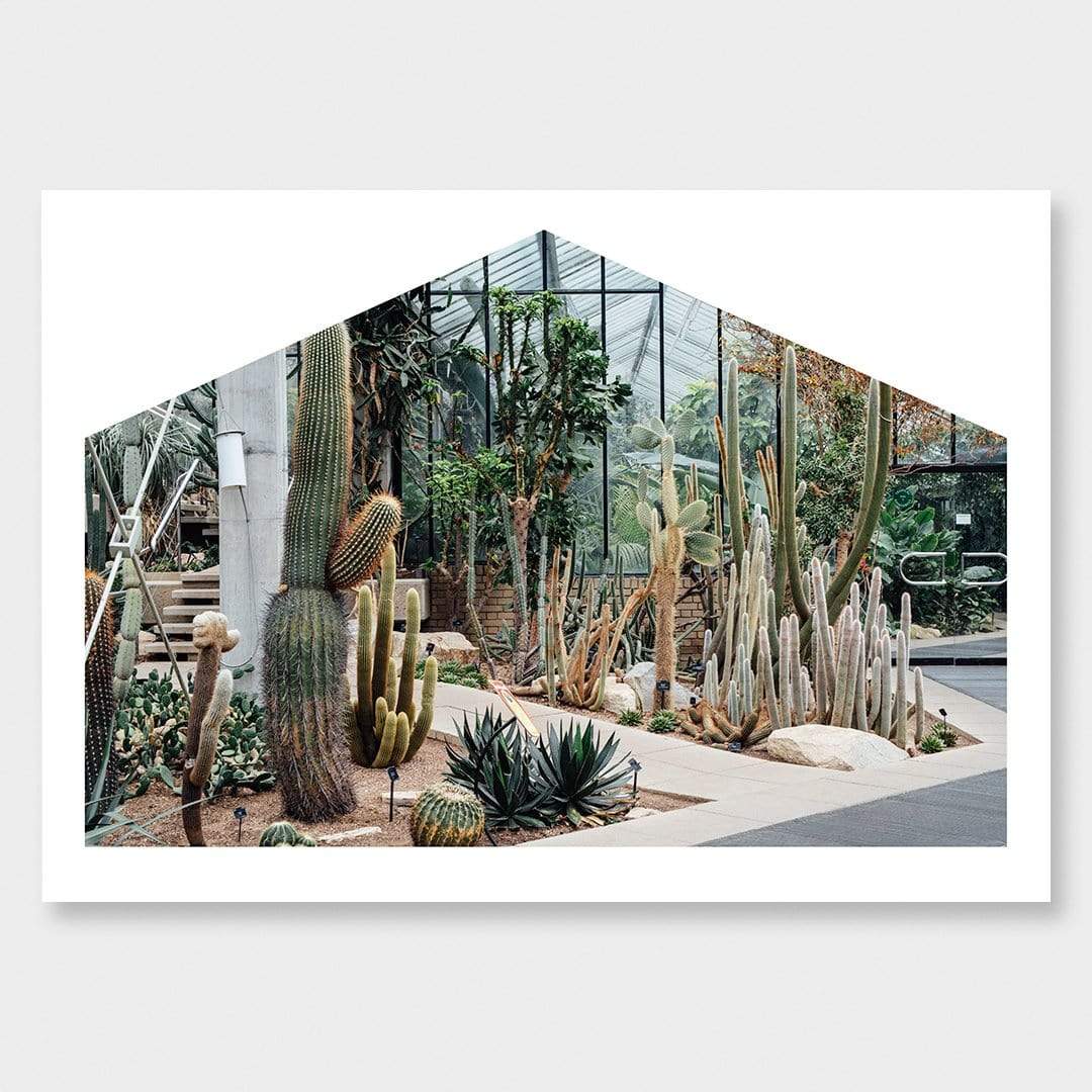Tropics to Arid Lands Photographic Print by Amy Wybrow